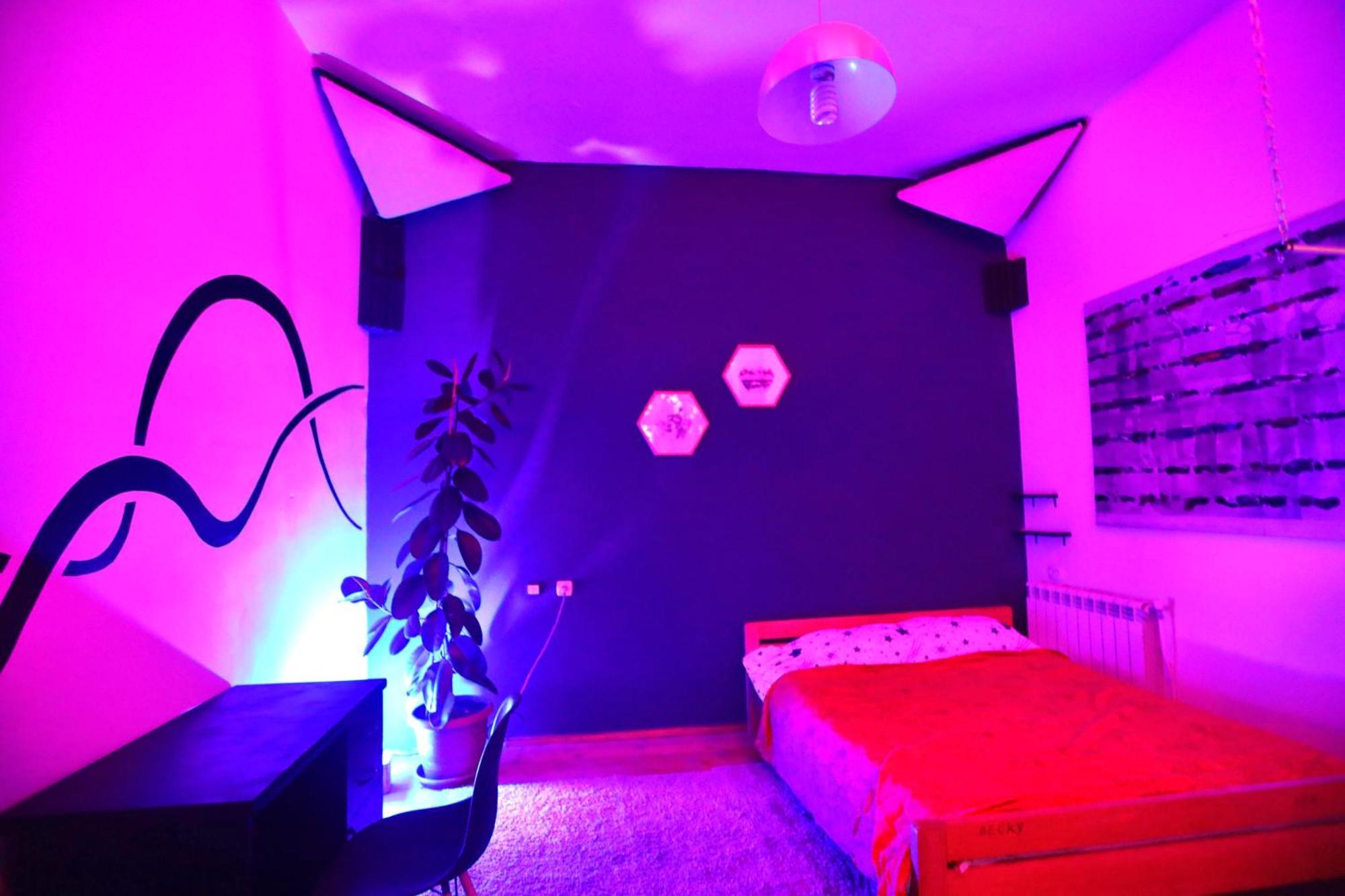 Cosy Studio With Beautiful Garden Erévan Extérieur photo